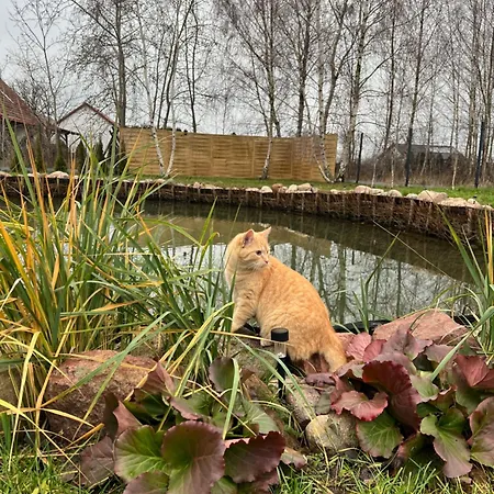Samosiejka Slonsko * Blonsko